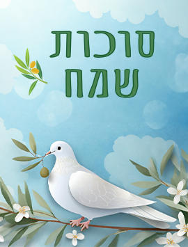 פריוויו מעודכן 4